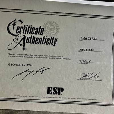 ESP  Super V  George Lynch Custom Shop BRAHMA 2006 - STBC See Thru Black Cherry Rare ! image 2