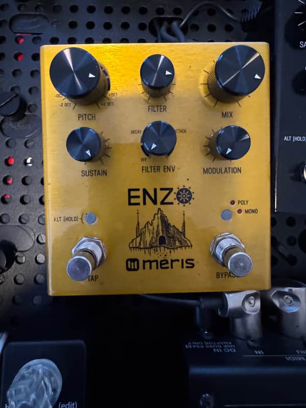 Meris Enzo 2018 - Gold image 1
