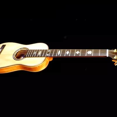 Blueberry Handmade Acoustic Travel Guitar image 12