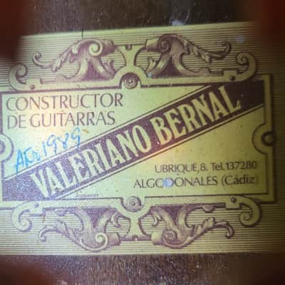 Valeriano Bernal  Custom Mandriola 1989 – 12 strings (6 double courses) – Cedar/Mahogany – unique, rich voice image 5