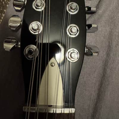 2025 Danelectro 59X12 Black w/gig bag image 5