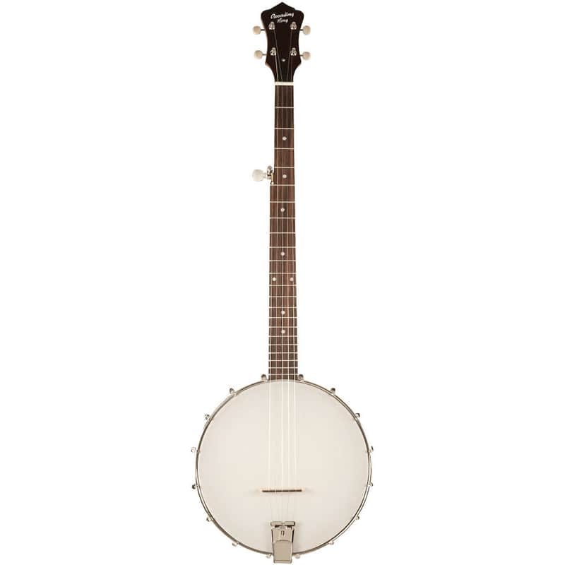 Recording King RKOH-05 Dirty 30's Open-Back Banjo image 1