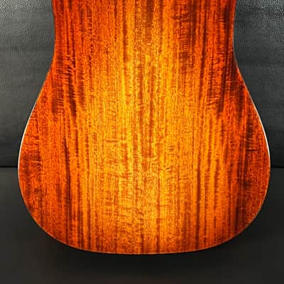 Eastman E10D image 4