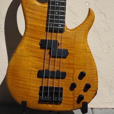 Modulus Bassstar SP-24 1980s Amber image 2