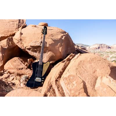 Gibson Rex Brown Pantera Signature Thunderbird Bass image 13