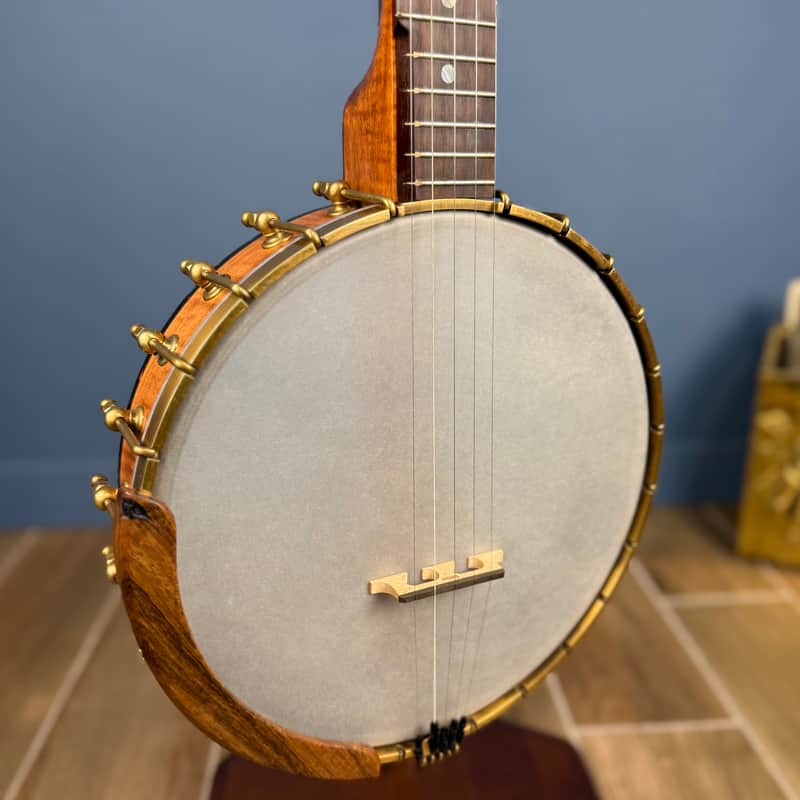 Starr Limited Edition 11" Maple 5-String Openback Banjo image 1