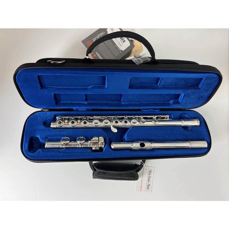 Haynes Flute - Sterling Silver,Open-Hole,inline,C-Foot image 1