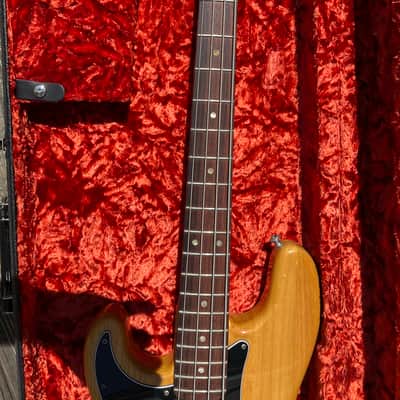 1977 P Bass - Lefty Left Handed - Rosewood - J Pup image 4