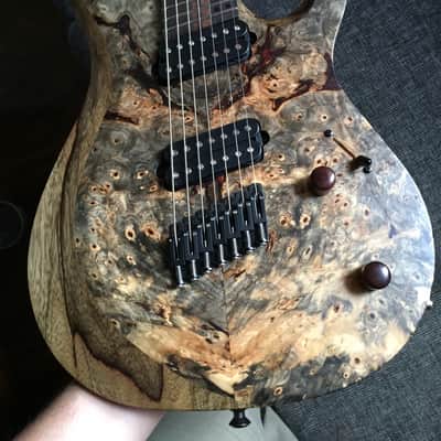 Kiesel Carvin Aries AM7 Multiscale New! 2016 Buckeye Burl image 16