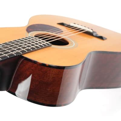 Eastman E10P Thermo Cured 12 Fret Natural image 10