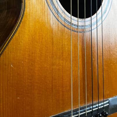 1920s Slotted Headstock Parlor Acoustic | Solid Brazilian Rosewood Back & Sides | Spruce Top | Ebony Fingerboard image 5