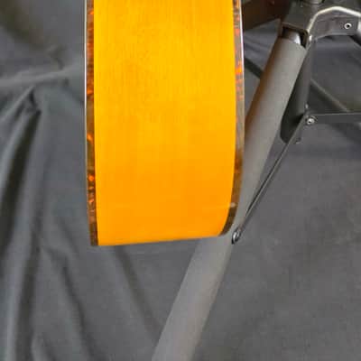 Breedlove Pursuit EX S Concert TE CE 2023 - Tigers Eye image 7