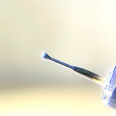 Wayne's Audio Master Signature MC Phono Cartridge, 5N Silver Coil, Line Contact Diamond on Boron Cantilever image 17