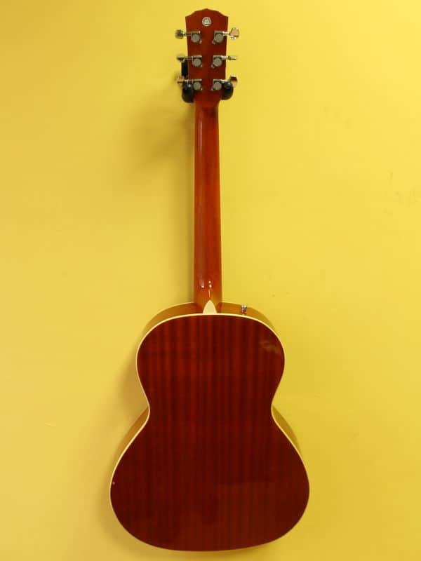 Fender GDO 300 AMB Acoustic Guitar | Reverb