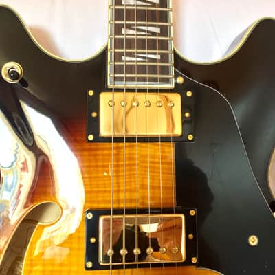 Splendide Guitare électrique Washburn HB35 TS Semi-Acoustique Tobacco Sunburs image 4