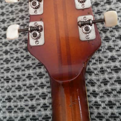 Musima 1653 50-60ss 2 Color Sunburst image 10