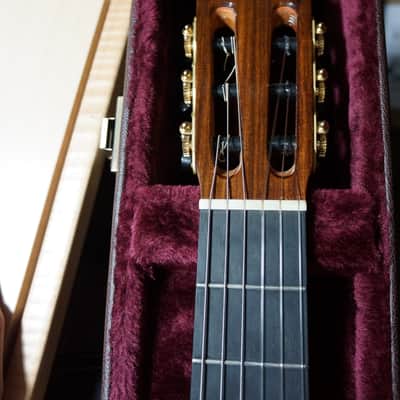 Graciliano Perez Flamenco Negra Guitar image 6