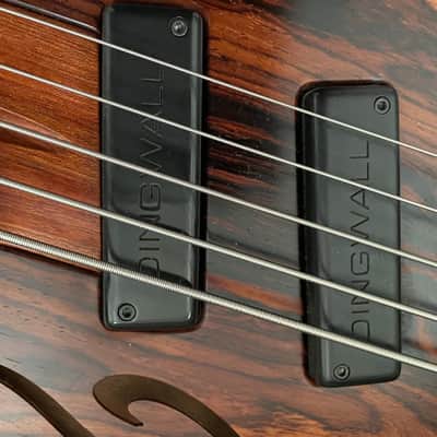 Dingwall Afterburner II 5 string bass Walnut image 2