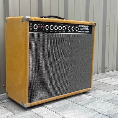 Amplified Nation Steel String Singer 50-Watt Guitar Amp Head 2022 - Present - Various