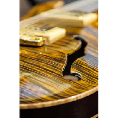 2001 PRS Private Stock Hollow Body II TI reverse LH lefthanded yellow tiger image 23