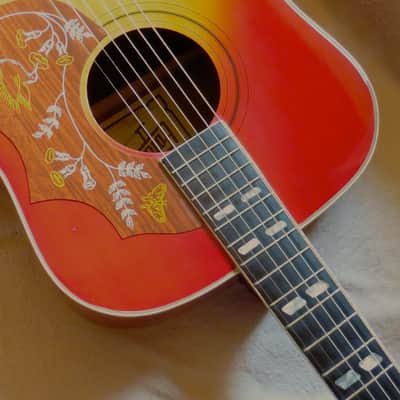 Hondo II Hummingbird 1979 2 Color Sunburst + Hard Case + Pro Set Up + Very unusual and cool image 10
