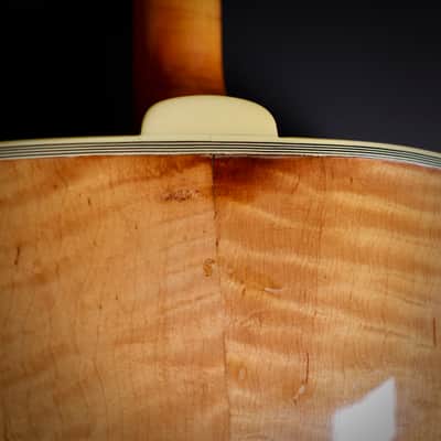 1950 D'Angelico New Yorker 18" Acoustic Archtop - Video image 15