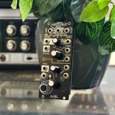 Make Noise Richter Wogglebug Module | Reverb