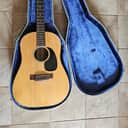 Martin D12-20 1972 - Natural