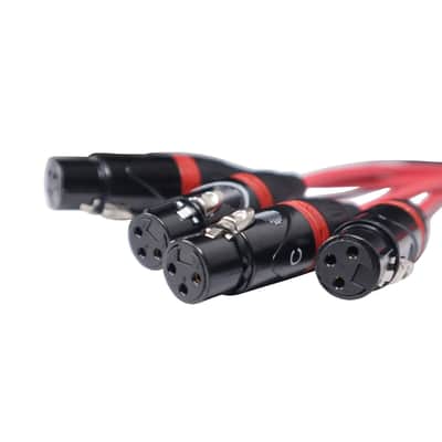 ProX XC-SB244XLR100 100 Ft. XLR Stage Recording Extension Box Snake 24 XLR-F Send Inputs 4 XLR-M Effects Return image 5