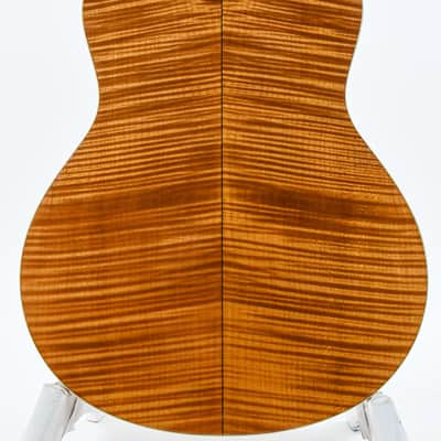 Taylor GS6 2009 image 8
