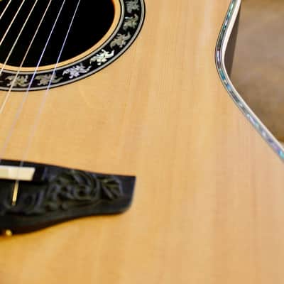 Ovation  Al DiMeola image 4