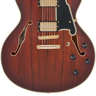 D'Angelico DADDCSBBGS DELUXE DC Double Cutaway Semi-Hollow Body 6-String Electric Guitar w/Deluxe Hardshell Case image 5