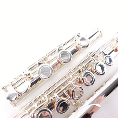 Samperi Spectrum 14k GOLD Riser Intermediate Flute B Ft by Haynes Amadeus Makers image 8