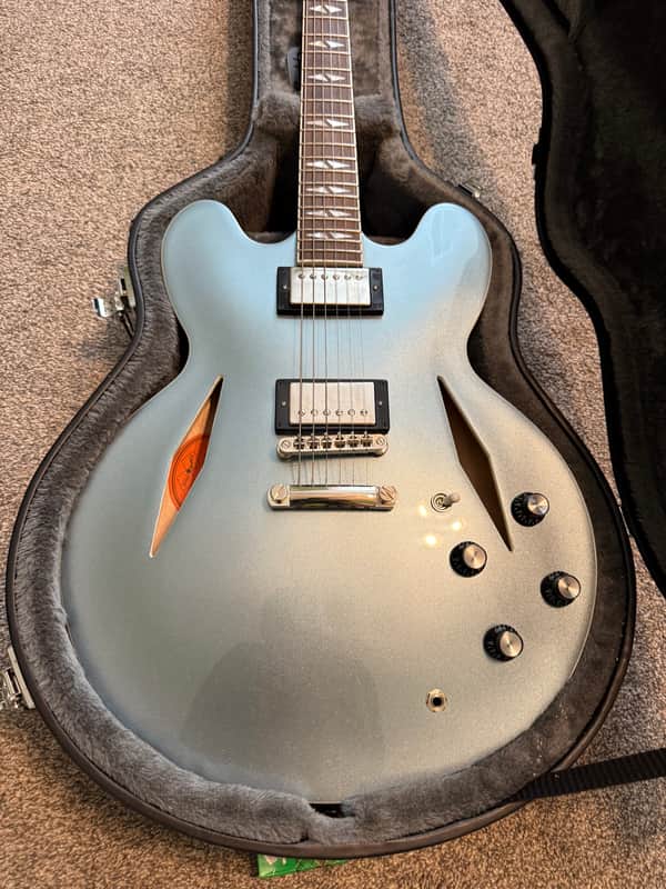 Epiphone Dave Grohl Signature DG-335 image 1