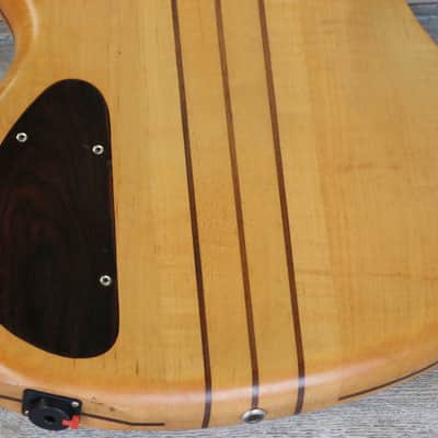 Awesome! Bill Moll Custom 6-String Electric Bass Guitar + Coffin Case image 19