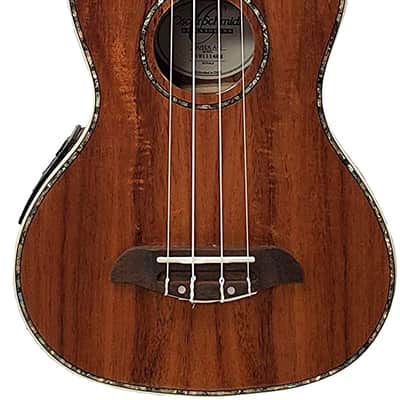 Oscar Schmidt OU5EK Koa Top Wood Concert Size 4-String Ukulele w/Gig Bag image 2