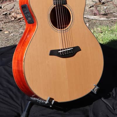 Furch Yellow Plus G-CP w/ LR Baggs Stagepro Anthem Pickup System image 1