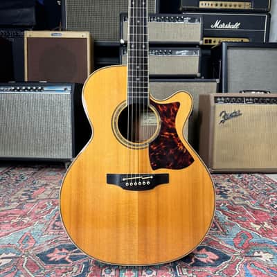 Takamine DMP050S OM Style w/Case and Candy 2012 image 1