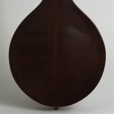 Flatiron  Festival A Carved Top Mandolin (1993), ser. #93031602 image 4