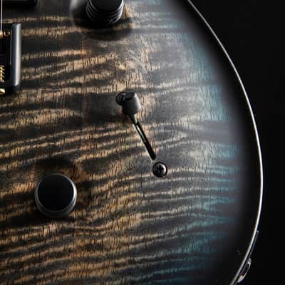 Paul Reed Smith Mark Holcomb Signature Holcomb Wraparound Blue Burst image 7