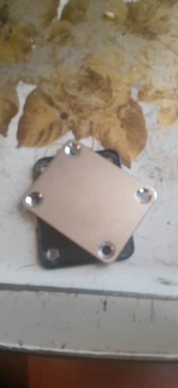 Cozart Neck Plate & Gasket - Chrome image 1