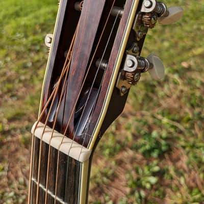 Santa Cruz OO Erik SKYE 2019 - Cocobolo image 11