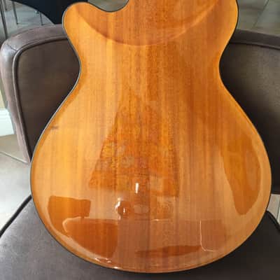 Artinger semi hollow arch top 2010 image 5