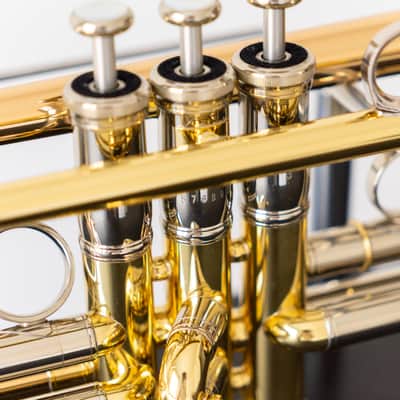 Yamaha YTR-8335IIRG Xeno Bb Trumpet with Reverse Leadpipe and Gold Brass Bell (SN 5768xx) image 5