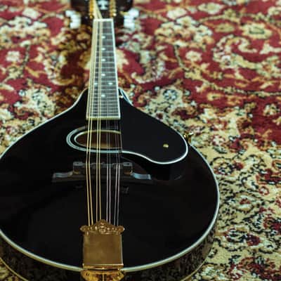 Washburn M1SDLB Bluegrass Series A-Style Mandolin. New with Full Warranty! image 3
