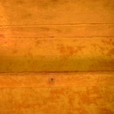 Gibson Vintage 60s Thunderbird Case 1960s image 10