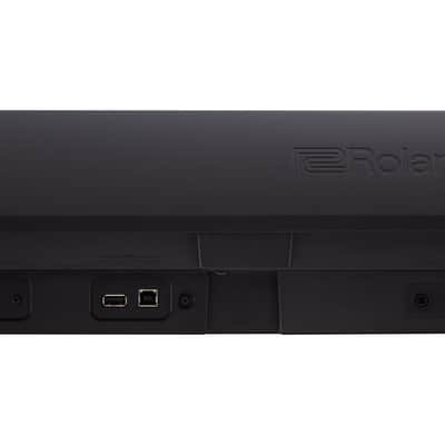 Roland FP-10 Portable Digital Piano with Speakers image 4