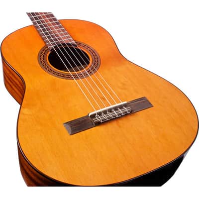 Cordoba Requinto 580mm (1/2 size) image 5