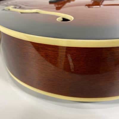 Aria Pro II FA-50E Full-Hollow Body Jazz Guitar - Tobacco Burst image 5