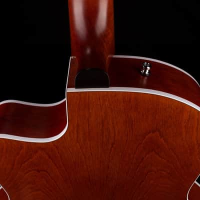 Pre Owned Godin 5th Ave. Uptown With Bigsby Havana Brown With Case image 14